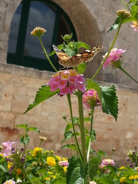 Masseria Sant'Elia มาร์ตินาฟรังกา ภายนอก รูปภาพ