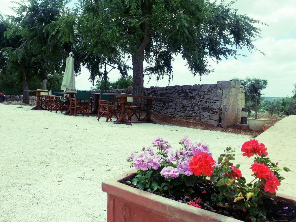 Masseria Sant'Elia มาร์ตินาฟรังกา ภายนอก รูปภาพ